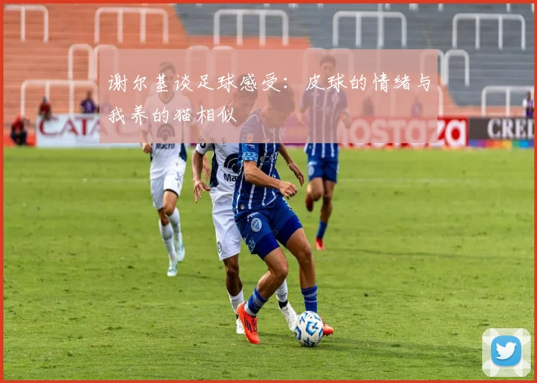 谢尔基谈足球感受：皮球的情绪与我养的猫相似